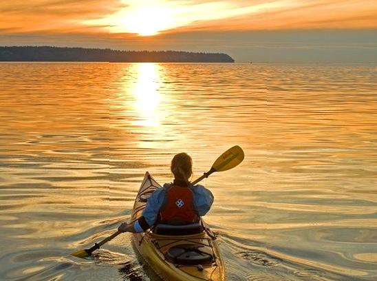 Kayaking Escapades: Exploring Sheltered Waters of Phillip Island