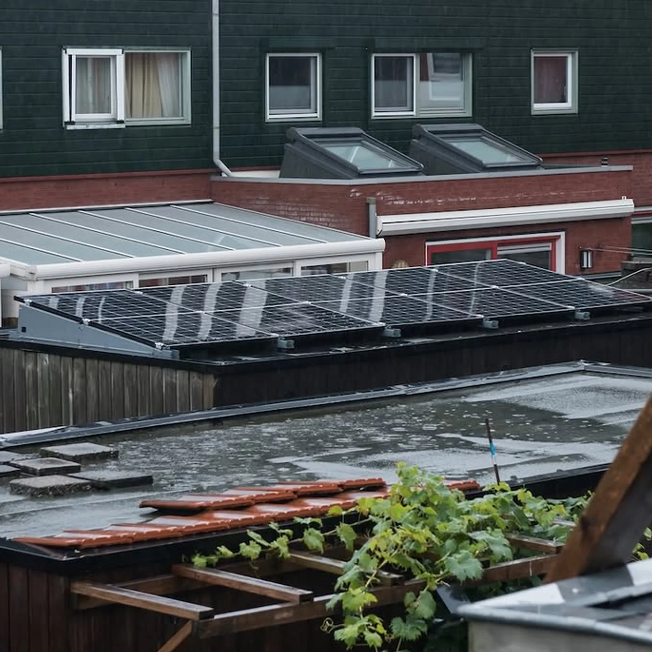 flat roofs showing maintenance conditions
