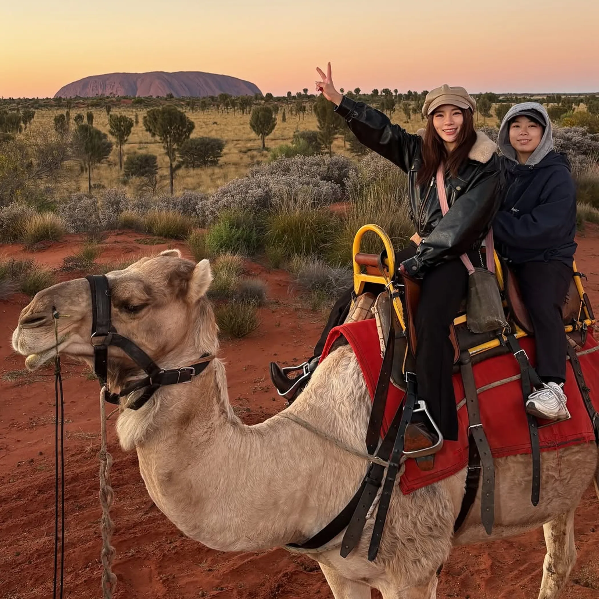 camel riding near uluru