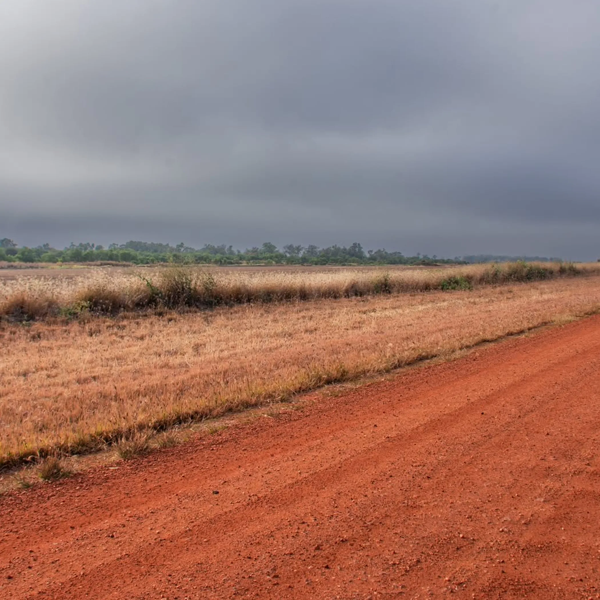 australian outback landscape