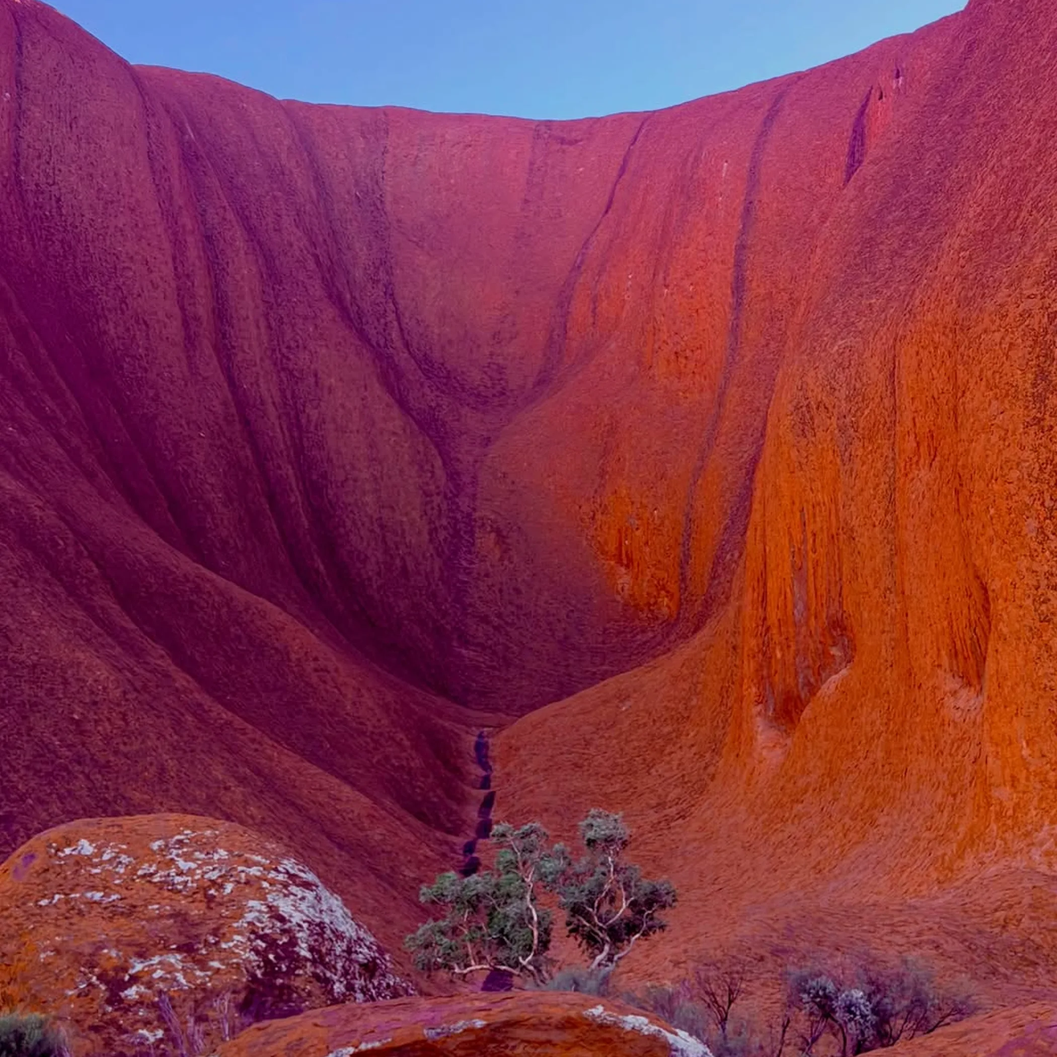 uluru's distinctive red-rock scenery